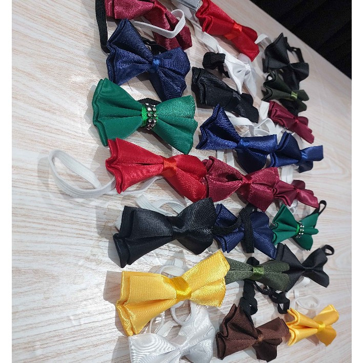 پاپیون بچه گانه عمده تنوع رنگ